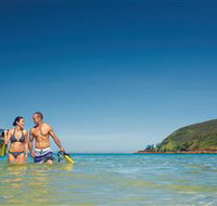 Snorkelling on Keswick Island - Kingaroy Accommodation