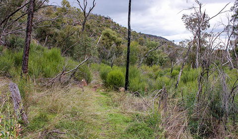 Lynchs Loop Trail - Kingaroy Accommodation 0