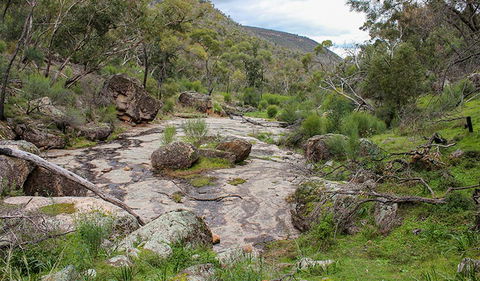Lynchs Loop Trail - Kingaroy Accommodation 1
