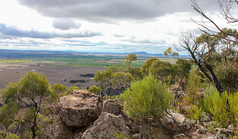 Lynchs Loop Trail - Kingaroy Accommodation 3