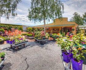 Springhill Nursery - Kingaroy Accommodation 2