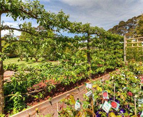 Springhill Nursery - Kingaroy Accommodation 5