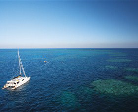 Bait Reef And Garys Lagoon Dive Site - Kingaroy Accommodation 0