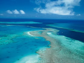 Fairey Reef - Kingaroy Accommodation 2
