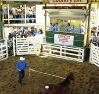 Gracemere Exhibition Complex - Kingaroy Accommodation