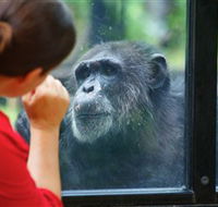 The Rockhampton Zoo - Kingaroy Accommodation
