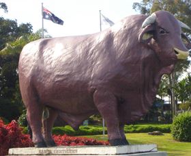 Rockhampton Bull Statues - Kingaroy Accommodation 0