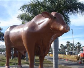 Rockhampton Bull Statues - Kingaroy Accommodation 3
