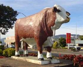 Rockhampton Bull Statues - Kingaroy Accommodation 2