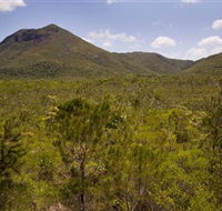 Kutini-Payamu Iron Range National Park CYPAL - Kingaroy Accommodation