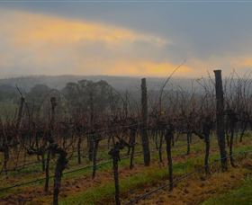 Bloodwood Estate - Kingaroy Accommodation 1