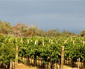 Amulet Vineyard And Beechworth Cider - Kingaroy Accommodation 7