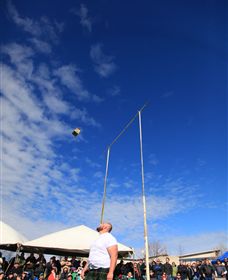 Amulet Vineyard And Beechworth Cider - Kingaroy Accommodation 6