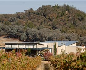 Amulet Vineyard And Beechworth Cider - Kingaroy Accommodation 8