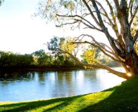 Albury - Murray River Precinct - Kingaroy Accommodation 0