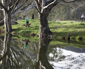 Albury - Murray River Precinct - Kingaroy Accommodation 3