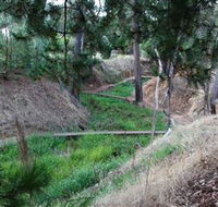 Lions Club Bicentennial Walk - Kingaroy Accommodation