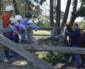Harlow Park Horse Riding - Kingaroy Accommodation 0