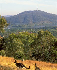Canberra Centenary Trail - Kingaroy Accommodation 0