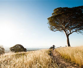 Canberra Centenary Trail - Kingaroy Accommodation 1