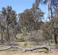 Remembrance Nature Park - Kingaroy Accommodation