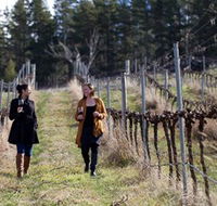 Mount Majura Vineyard - Kingaroy Accommodation