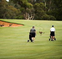 Federal Golf Club - Kingaroy Accommodation