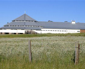 Deeargee Woolshed - Kingaroy Accommodation 0