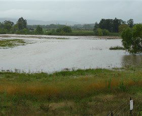Jerrabomberra Wetlands - Kingaroy Accommodation 1