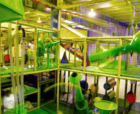 Monkey Mania - Kingaroy Accommodation 1