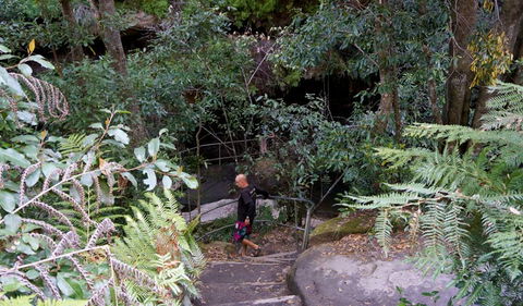 Leura Cascades Fern Bower - Kingaroy Accommodation 0