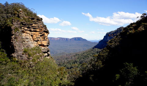 Leura Cascades Fern Bower - Kingaroy Accommodation 1