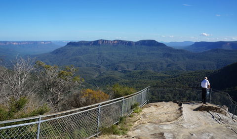 Leura Cascades Fern Bower - Kingaroy Accommodation 2