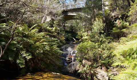 Leura Cascades Fern Bower - Kingaroy Accommodation 3