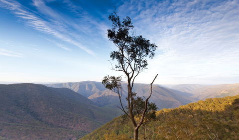 Salisbury Waters Walking Track - Kingaroy Accommodation 0