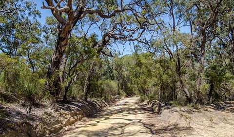 Howes Trail - Kingaroy Accommodation 0