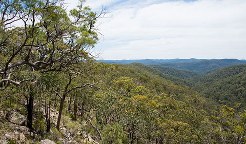 Howes Trail - Kingaroy Accommodation 2