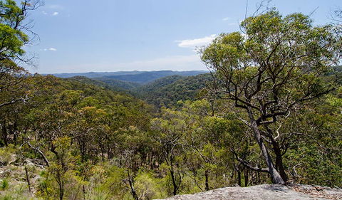 Howes Trail - Kingaroy Accommodation 3