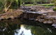 Bundaberg Botanic Gardens And Playground - thumb 1