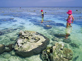 Southern Great Barrier Reef - Kingaroy Accommodation 1