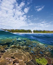 Southern Great Barrier Reef - Kingaroy Accommodation 2