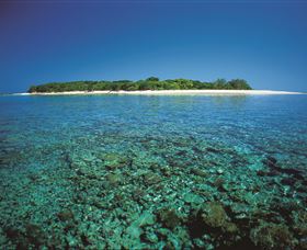 Southern Great Barrier Reef - Kingaroy Accommodation 3