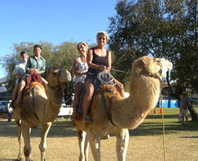 Calamunnda Camel Farm  - Kingaroy Accommodation 0