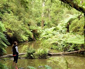 Morwell National Park - Kingaroy Accommodation 0