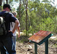 Finchley cultural walk - Kingaroy Accommodation
