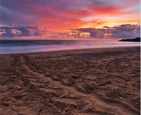 Mon Repos Beach - Kingaroy Accommodation 0