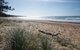 Mon Repos Beach - thumb 2