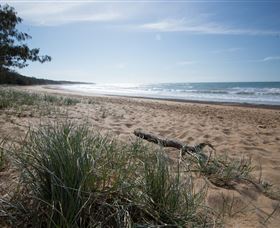 Mon Repos Beach - Kingaroy Accommodation 2