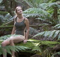 Barrington Tops National Park - Honeysuckle Forest Track - Kingaroy Accommodation