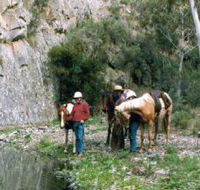 Yarramba Horse Riding - Kingaroy Accommodation